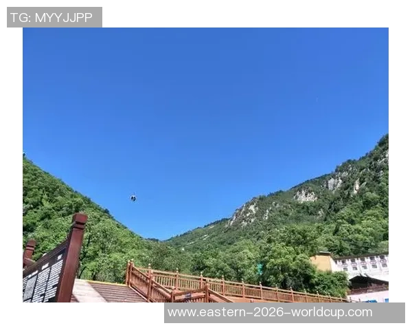 李麒麟在足球场上的奋斗历程与成就分享