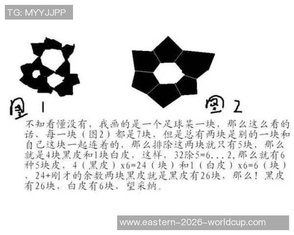 足球场上的黑皮块揭秘与影响分析探讨